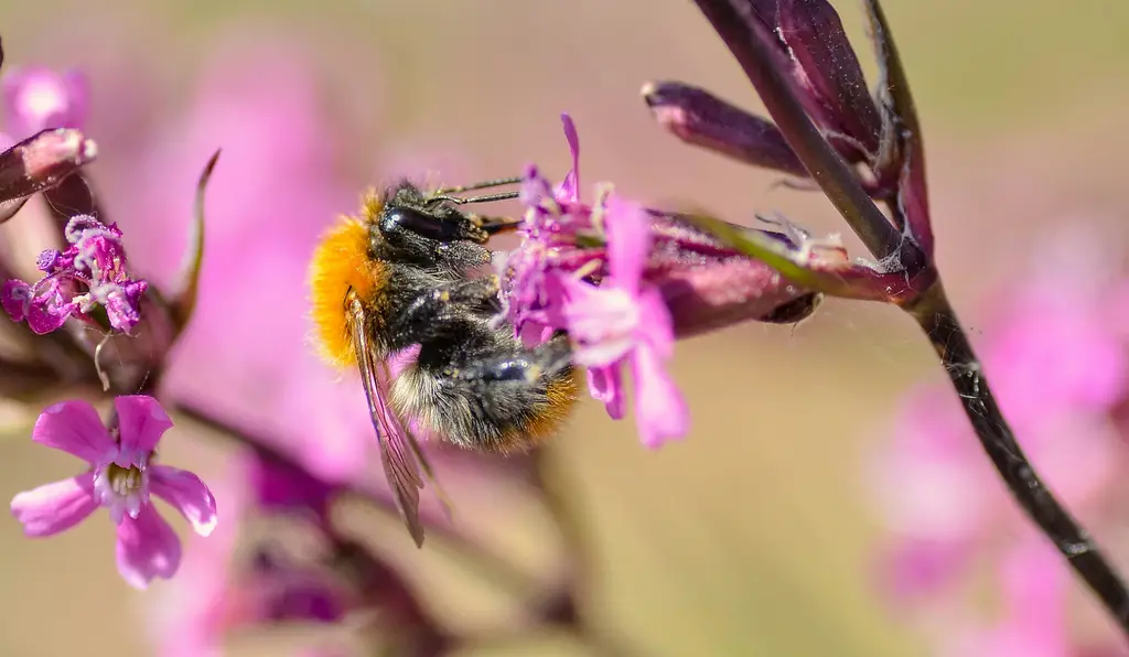 新天地電視台線上看:網路收看台灣頻道懶人包